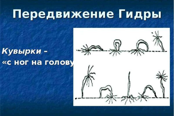 Кракен ссылка прокатис