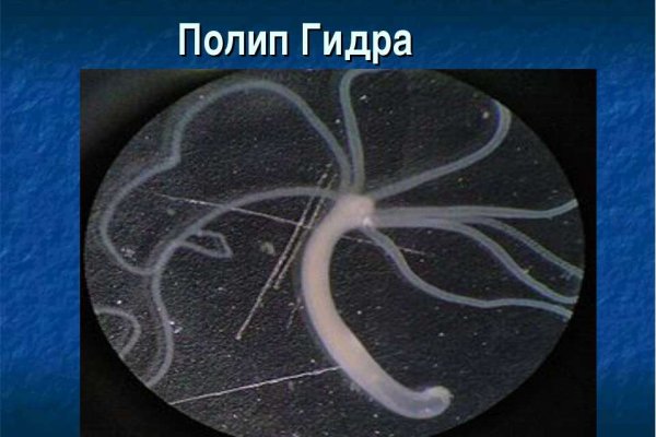 Кракен маркет даркент только через тор