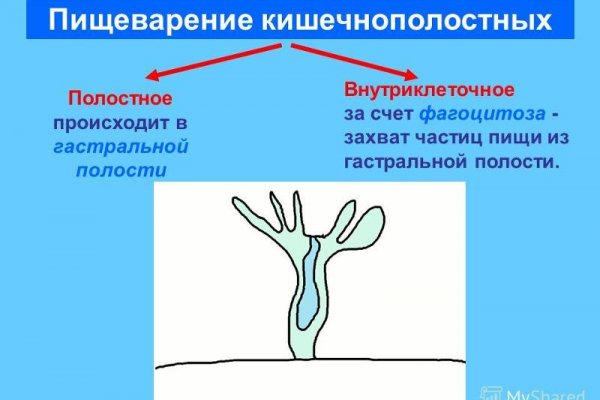 Ссылка на кракен не работает