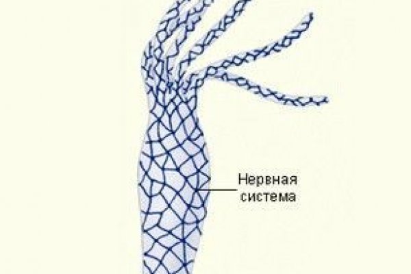 Ссылка на сайт кракен в тор