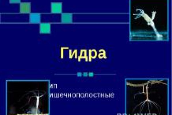 Кракен как попасть