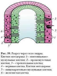 Главная страница кракен