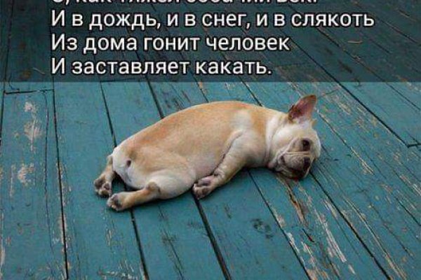 Кракен макет даркнет