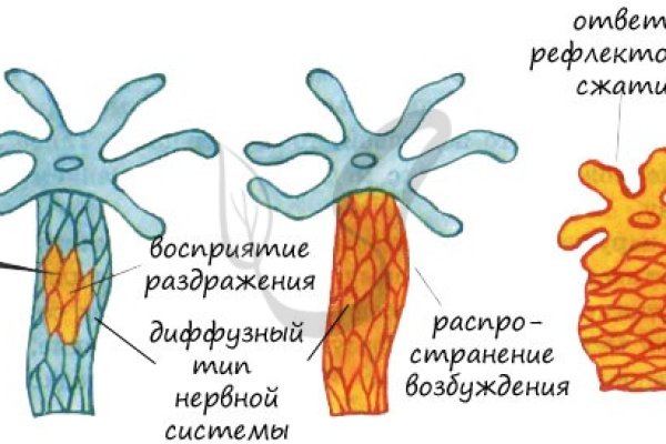 Ссылка кракен официальная тор