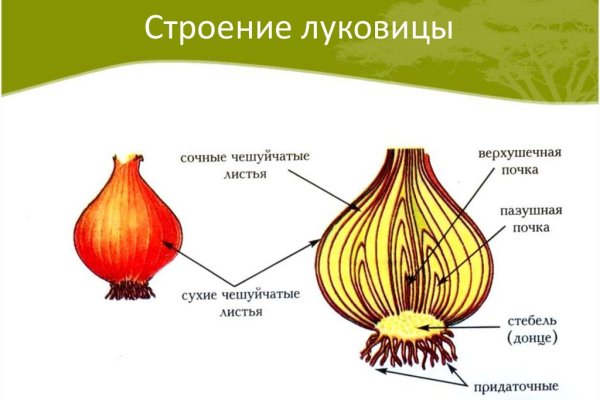 Кракен сбой