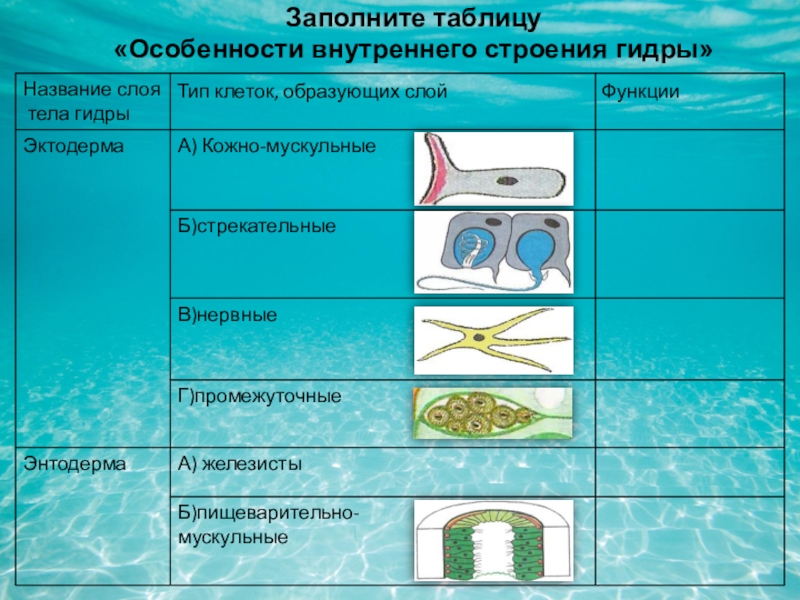 Кракен сайт что будет если зайти