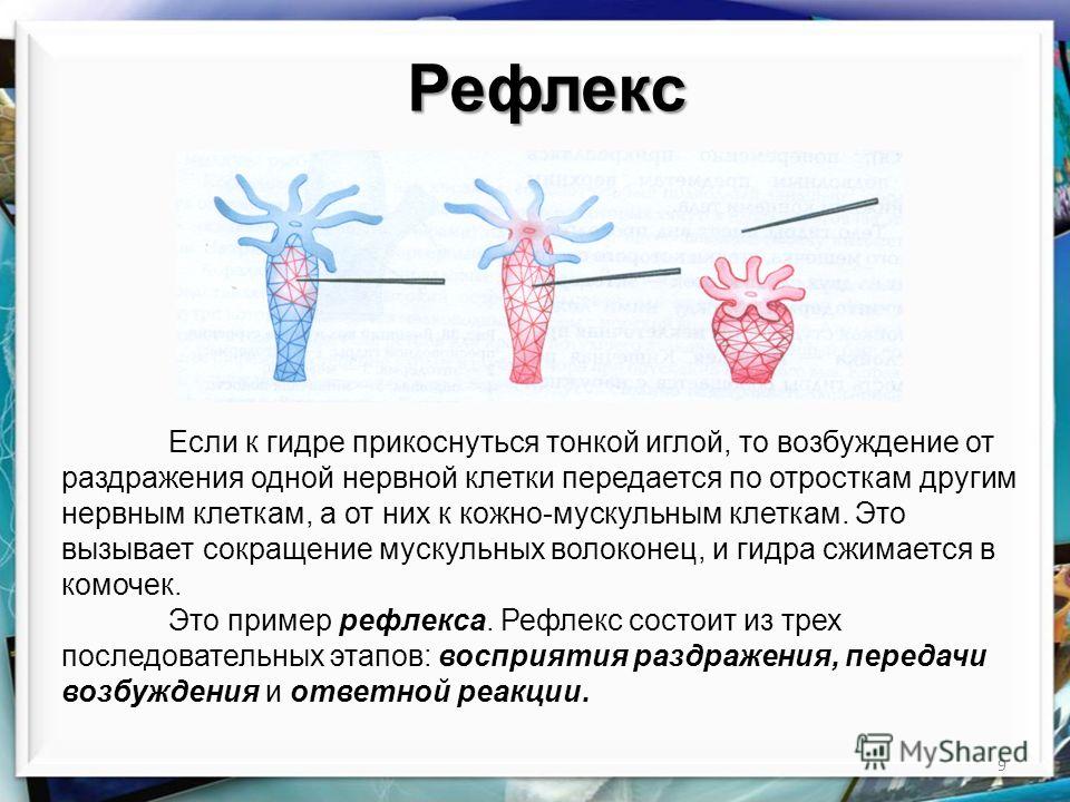 Кракен ссылка на рабочее зеркало